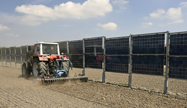 Agri-PV Kartoffelanbau, &Ouml;sterreich
